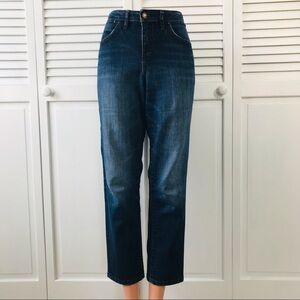 2/$25 JAG JEANS Blue Mid Rise Slim Leg Jeans Size 8